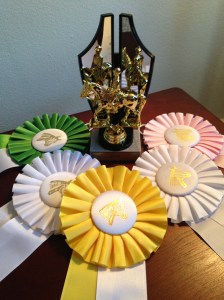 All in all, a great day at the County Fair!