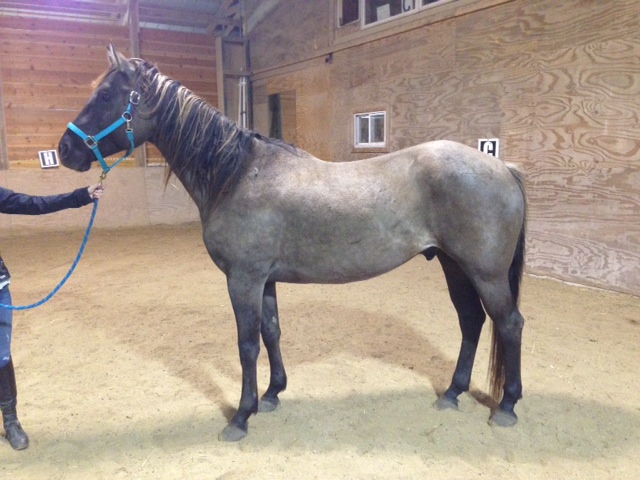 Okay, fine, I stand up strai - oh look! Something over there!