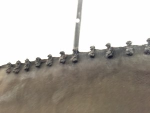 A blurry iPhone photo taken withe one hand to prove that my second round of braids looked pretty nice...you know, just in case