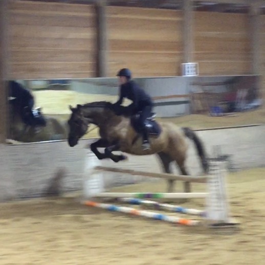 Drifter jumping 2'6"