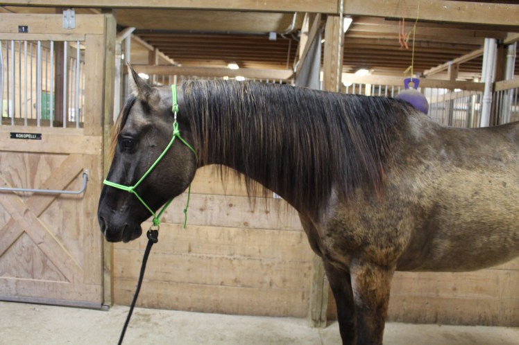 Okay, fine. I'm ready.