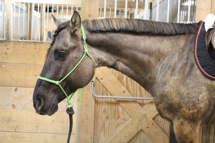 Not sure how I feel about this. It's a little weird.