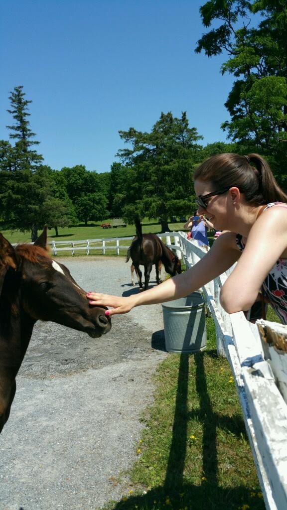 cdf13cb4-1818-49d2-beac-0260d6b9a179