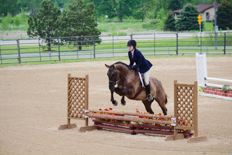 A good canter means we can jump UP rather than OUT.